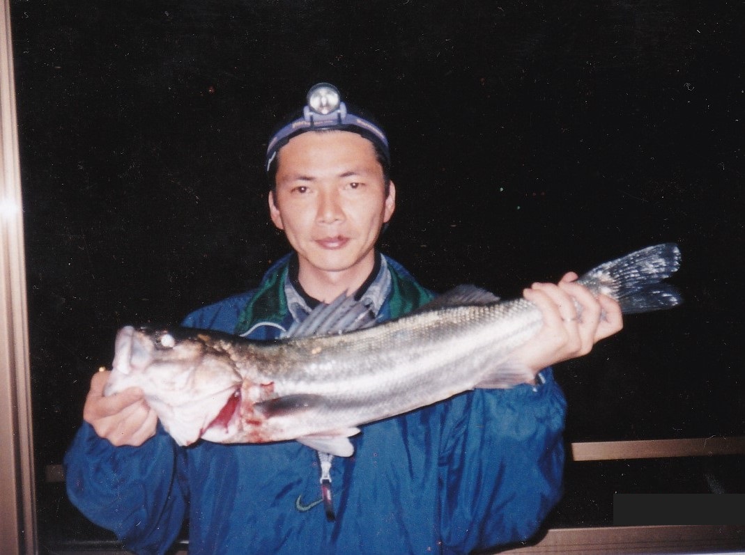 房総 三浦半島 エサで狙う夜シーバス釣り