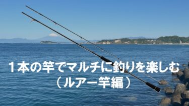 初心者必見】１本の竿でマルチに釣りを楽しむ！磯竿編