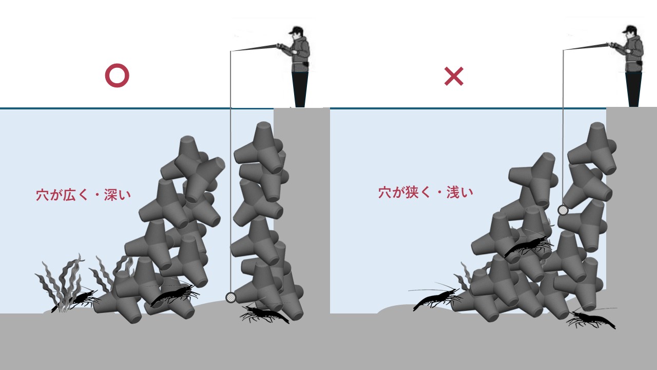 伊勢海老(イセエビ)釣り徹底攻略法